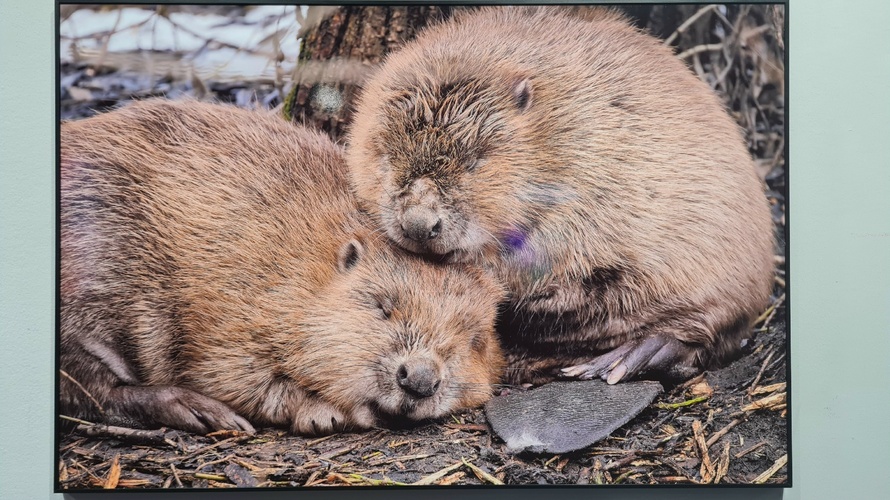 Фото 26 Октябрь 2024