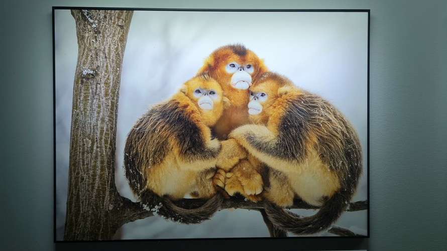 Фото 26 Октябрь 2024