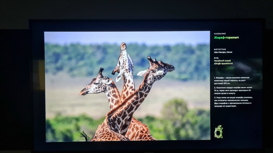 Фото 26 Октябрь 2024
