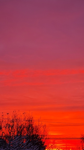 Фото 26 Ноябрь 2024