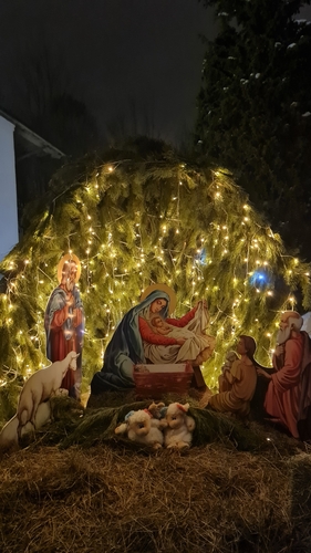 Фото 7 Январь 2025