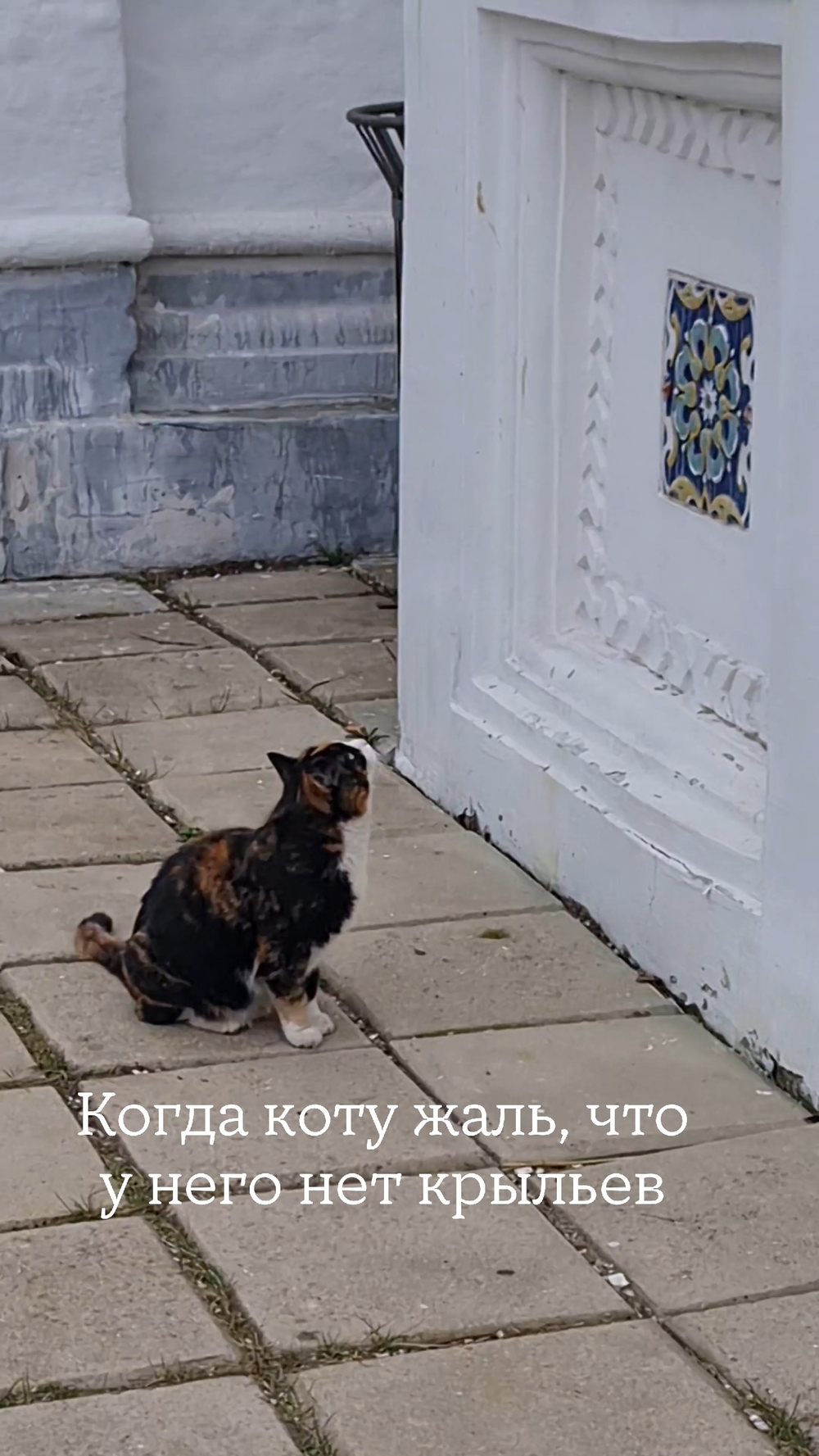 Видео